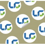 Corporate Collecterals